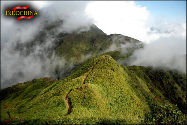 montana de fansipan montana de fansipan