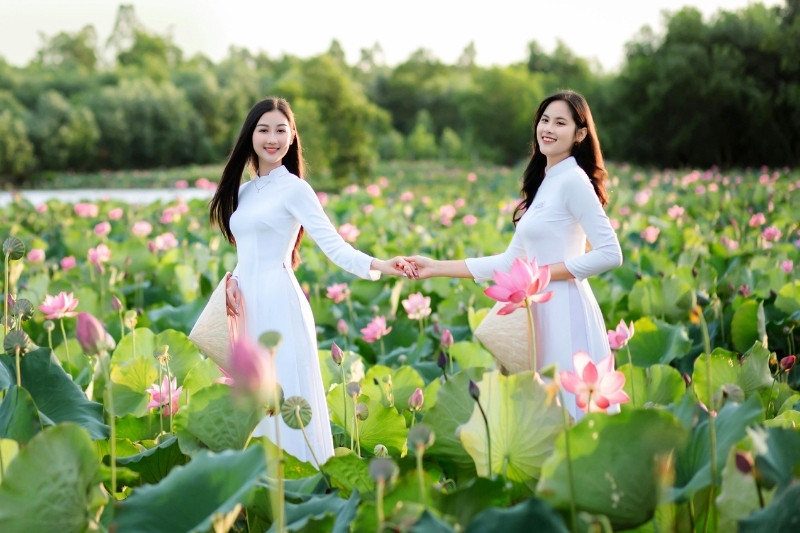 mujeres-vietnamitas-en-vestido-ao-dai-en-campo-de-lotos
