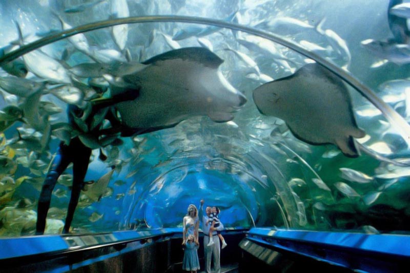 7 atracciones para visitar en Nha Trang Viajes a Nha Trang - Vietnam