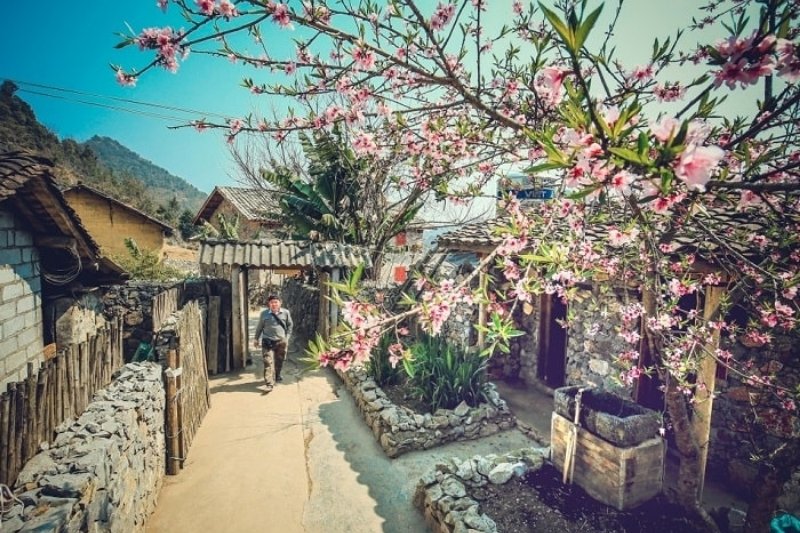 primavera-en-la-aldea-de-lo-lo-chai-ha-giang