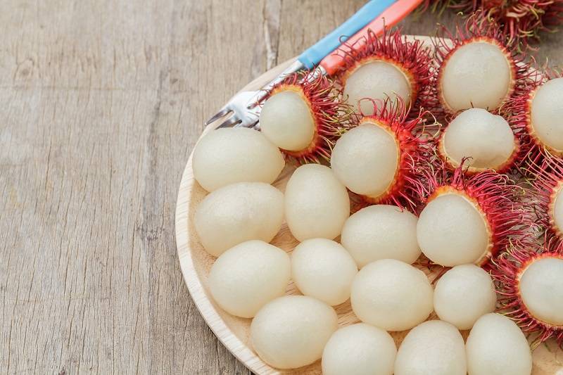 Viaje a Vietnam con Rambután (Chom Chom)