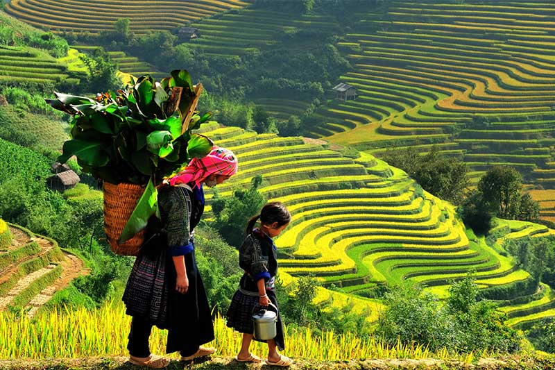 5 hermosos destinos con clima frío en el sudeste asiático 5 hermosos destinos con clima frío en el sudeste asiático