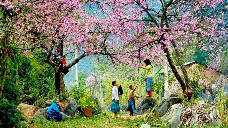 sapa20en20marzo