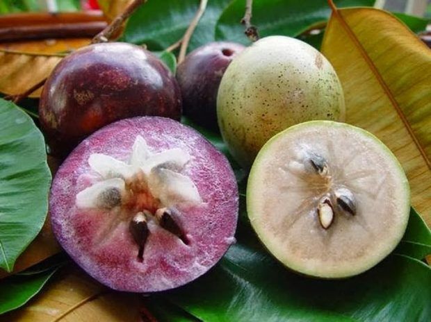 Visitar Vietnam en Manzana estrella (Vu Sua)