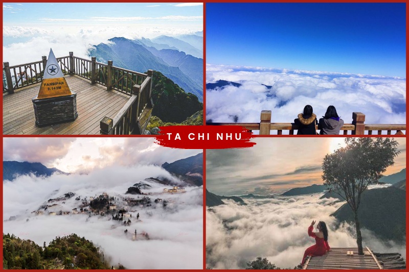 ta20chi20nhu Ta Chi Nhu in Vietnam