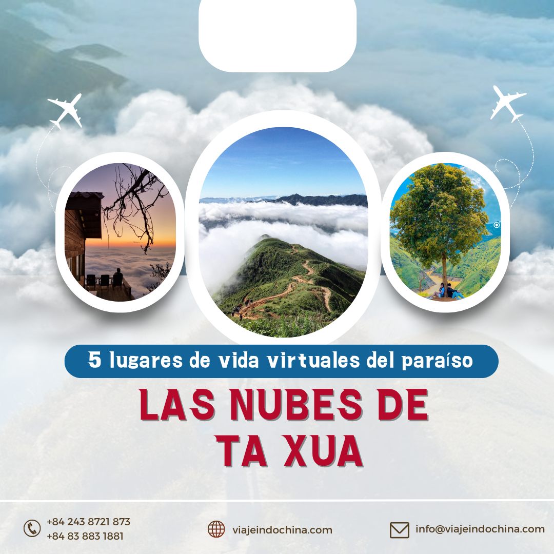 ta20xua20cloud20paradise20tbn20web Ta Xua cloud paradise
