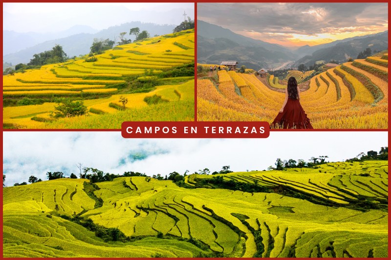 terraced20fields-tbn Campos en terrazas en el noroeste de Vietnam