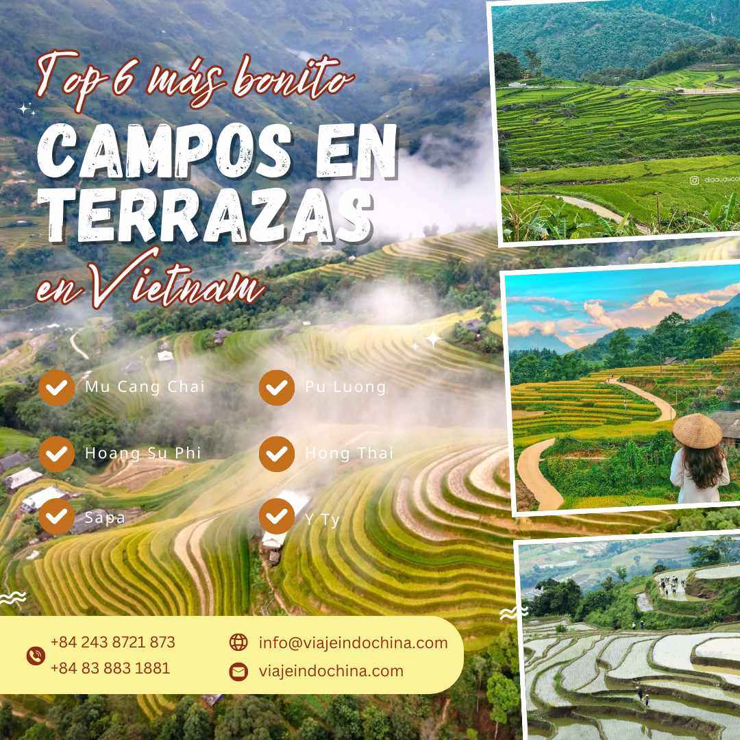 terraced20fields-web Terraced fields Vietnam