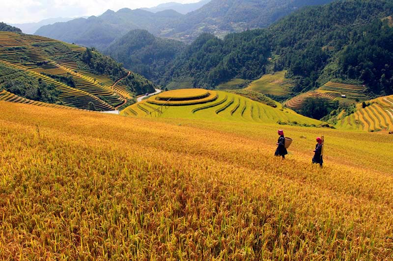 Sapa - Vietnam Visitar a Vietnam en Sapa