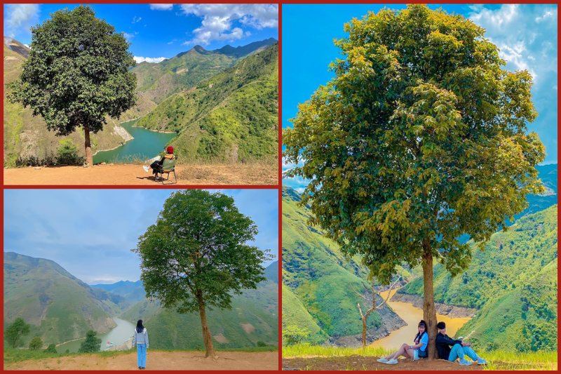 the20lonely20tree20in20ta20xua El árbol solitario en Ta Xua