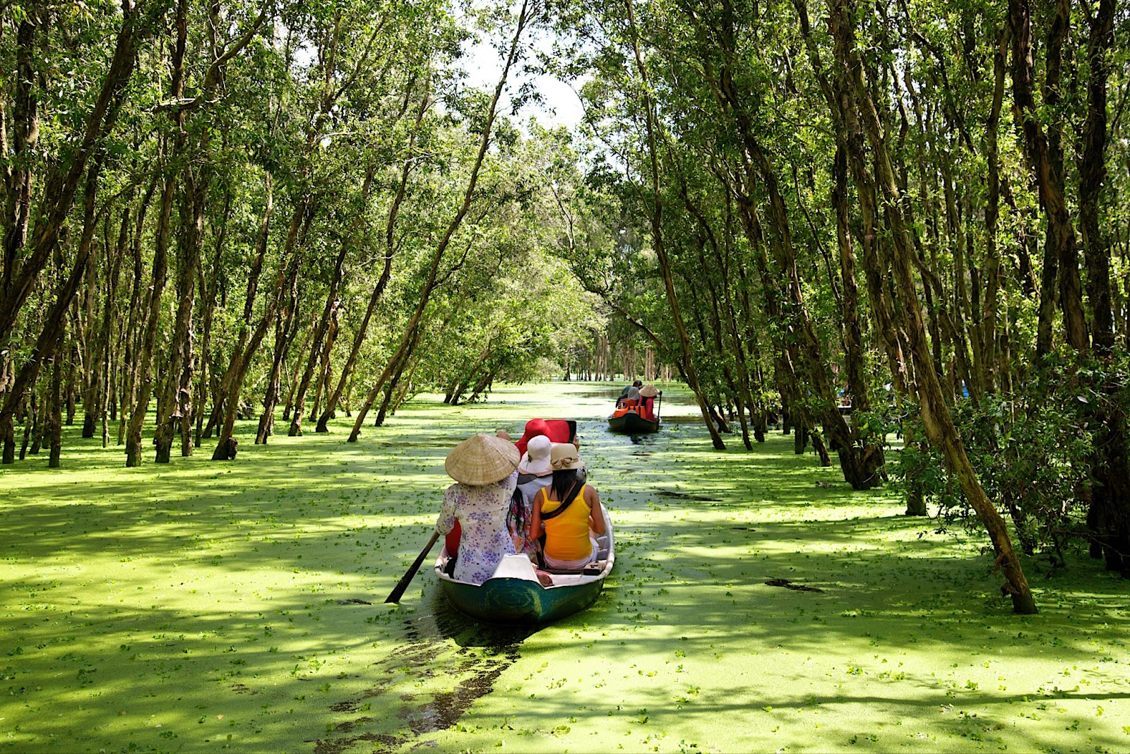 unnamed203 Mekong Delta