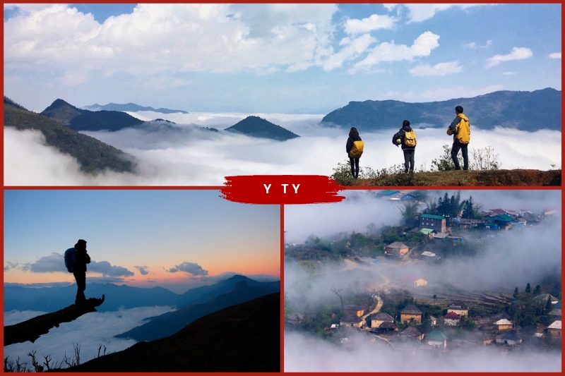 y20ty Y Ty in Vietnam