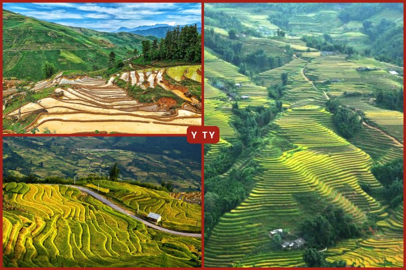 y_ty Los campos en terrazas de Y Ty