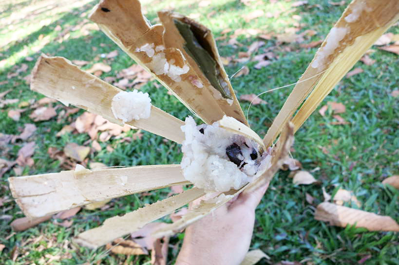 Arroz pegajoso de bambu - Camboja Arroz pegajoso de bambu - Viagens para Camboja