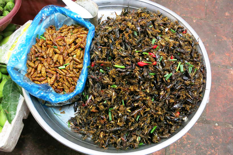 Minhocas e grilhos grelhados - Camboja Minhocas e grilos grelhados - Visitar Camboja