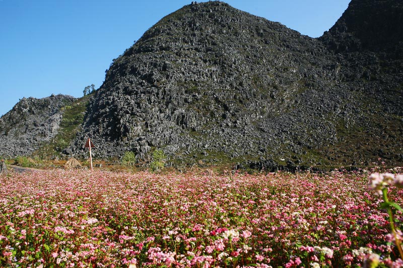 Montanha de Karst Dong Van - Férias em Vietnã