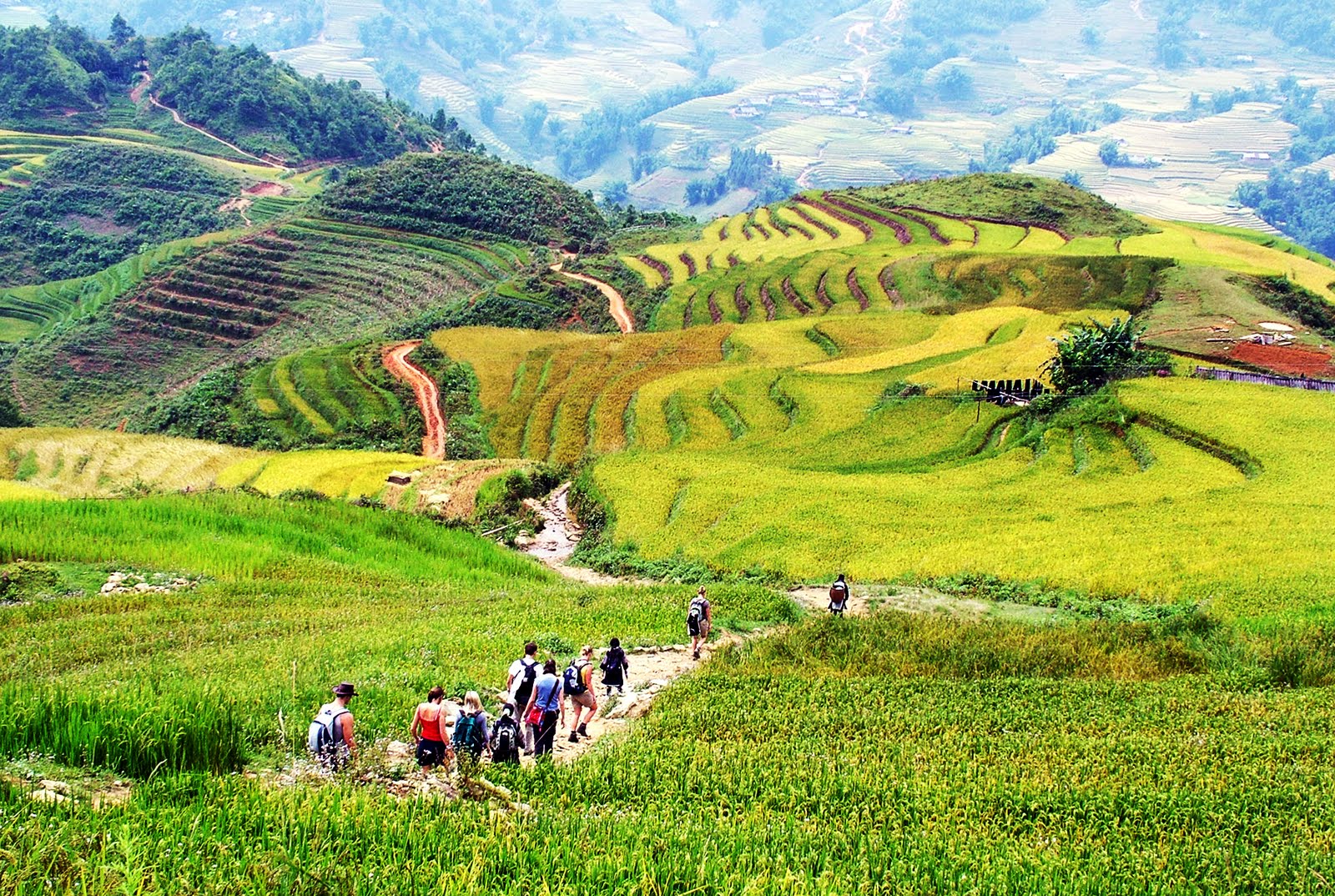 Lao Chai - Ta Van, Sapa Lao Chai - Ta Van, Sapa