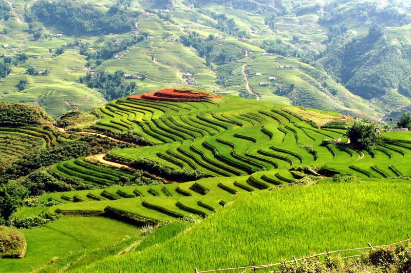 Vale Muong Hoa - Sapa Vale Muong Hoa - Turismo no Vietnã