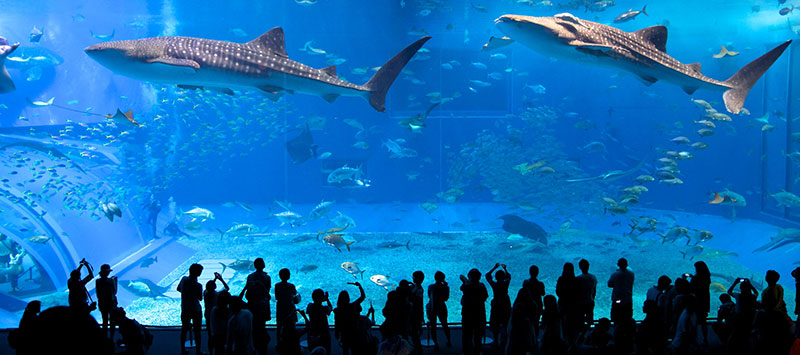 Museu Oceanográfico Nacional em Nha Trang - Vietnã Museu Oceanográfico Nacional em Nha Trang - Visitar Vietnã