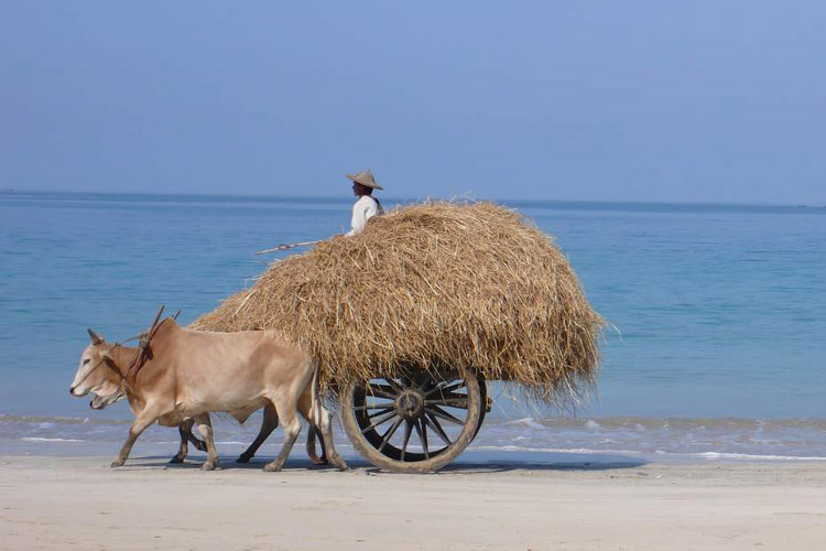 guia Myanmar