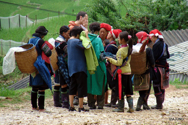 sapa1