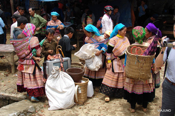 sapa3