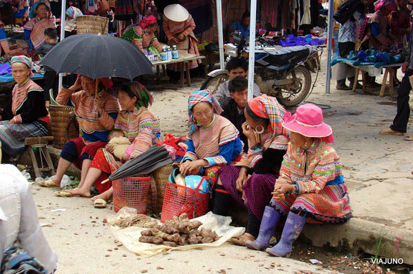 sapa4