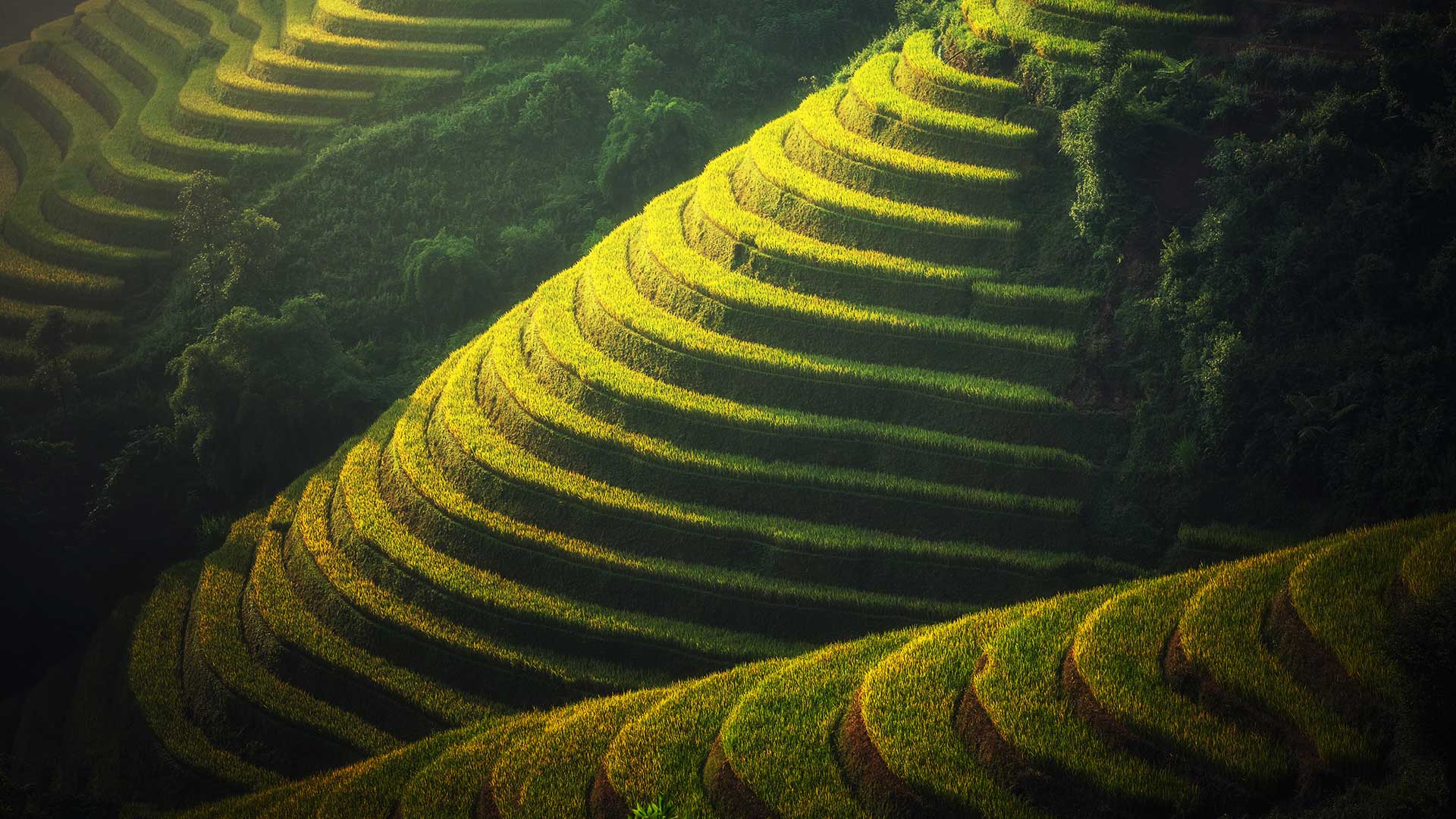 Bali - Indonesia - Viajiendochian