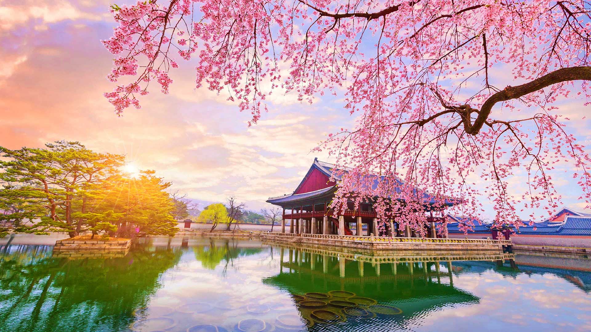 south-korean-viajeindochina