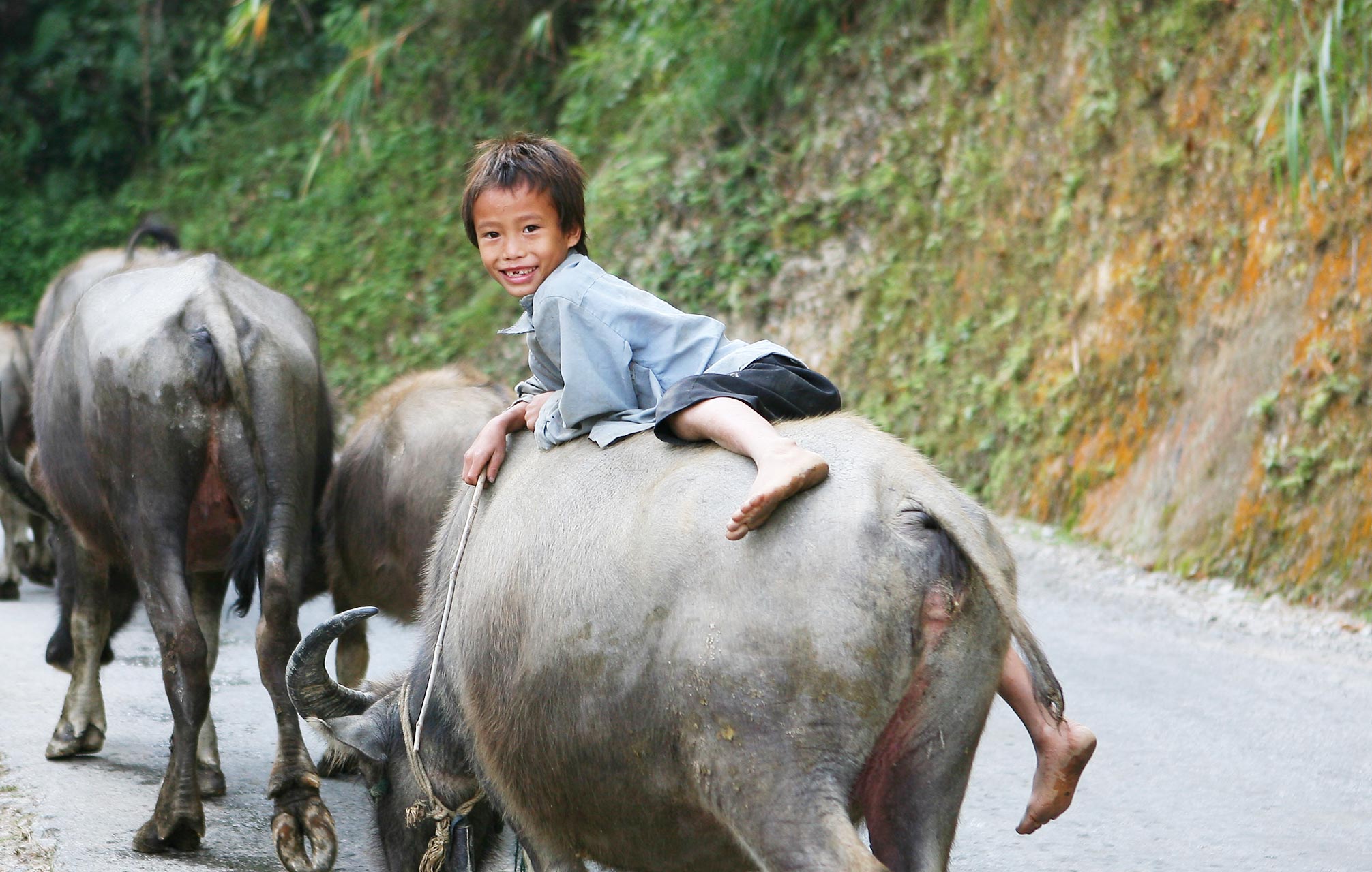 Local life in Ha Giang - Vietnam