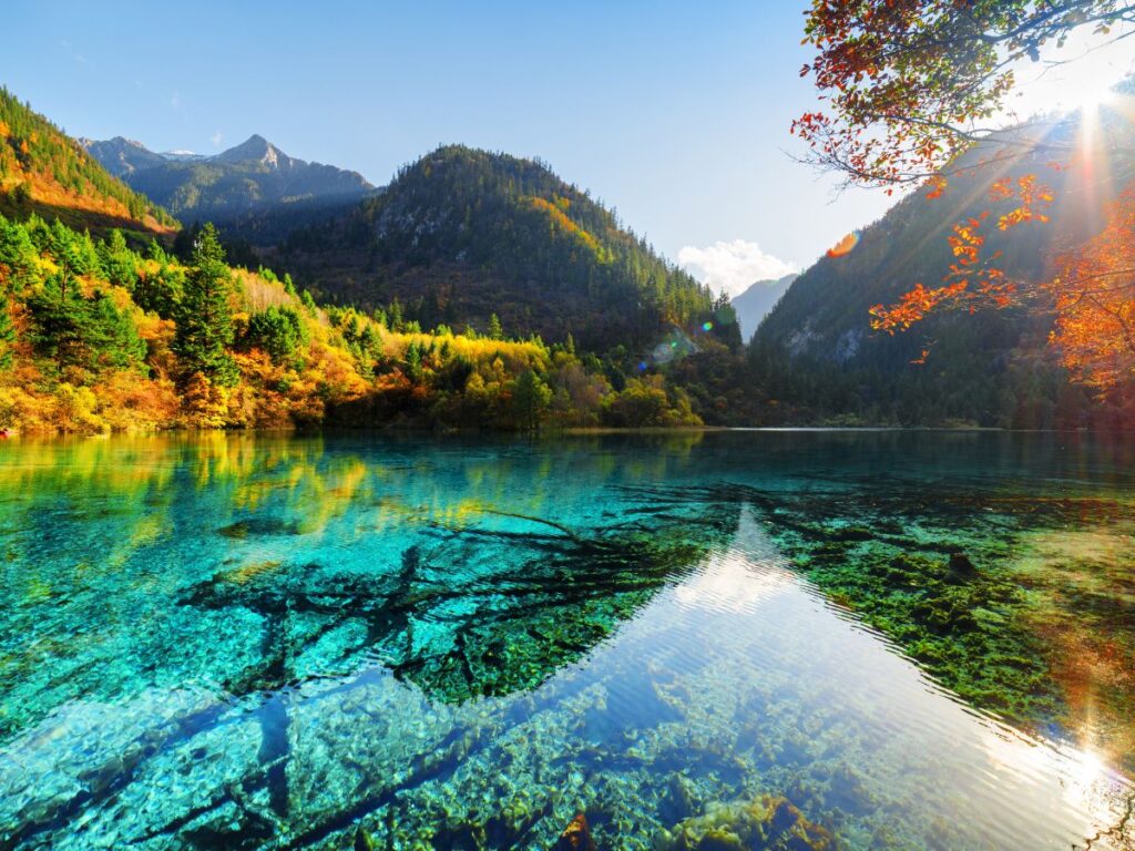 Jiuzhaigou en otoño: lagos turquesa y bosques dorados
