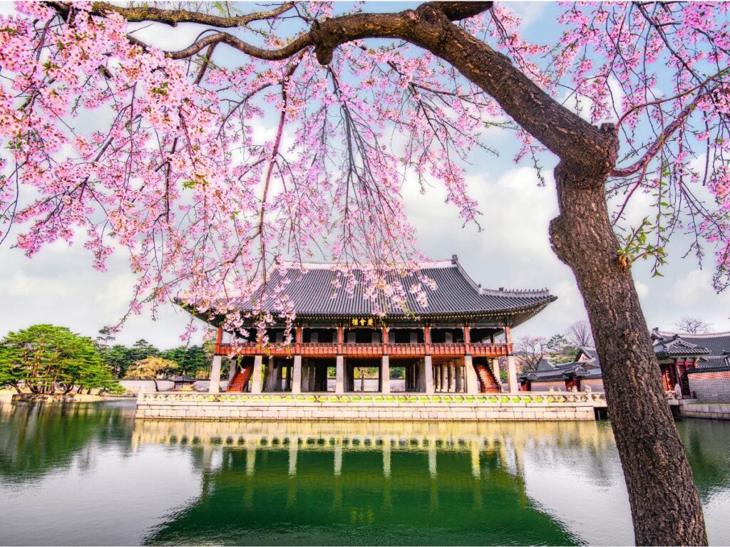 Tu viaje, tu ritmo: itinerarios personalizados por Corea del Sur con Viajeindochina