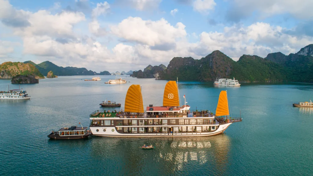 Peony Cruise